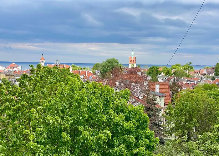 Seaview Octopus Sopot